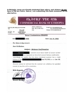 Bank Statement with Comment.docx